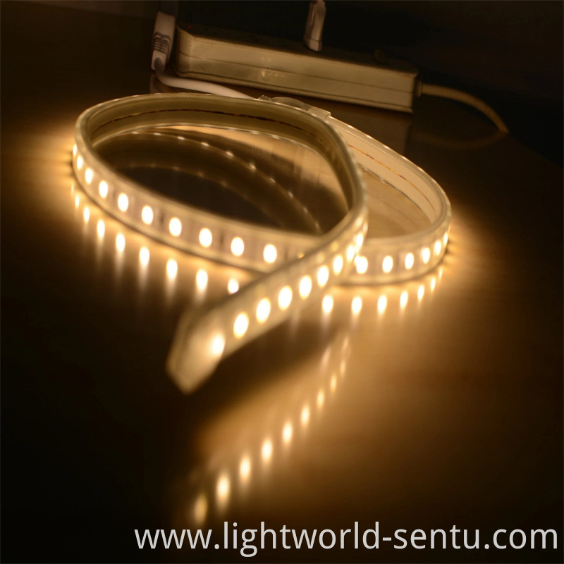 AC230V High Lumen SMD5050 LED Strips with CE RoHS Cetificate